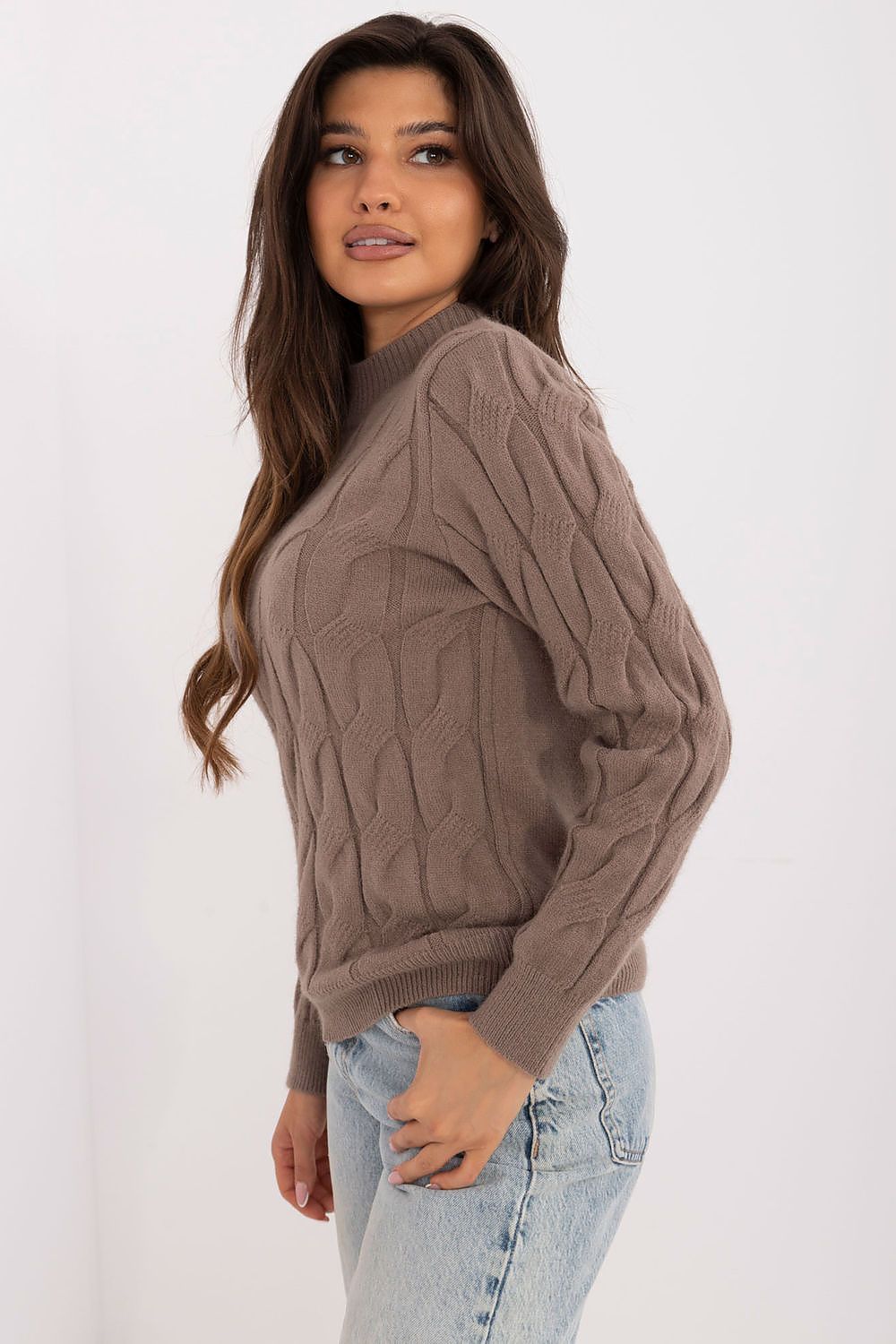 Chandail model 208273 AT