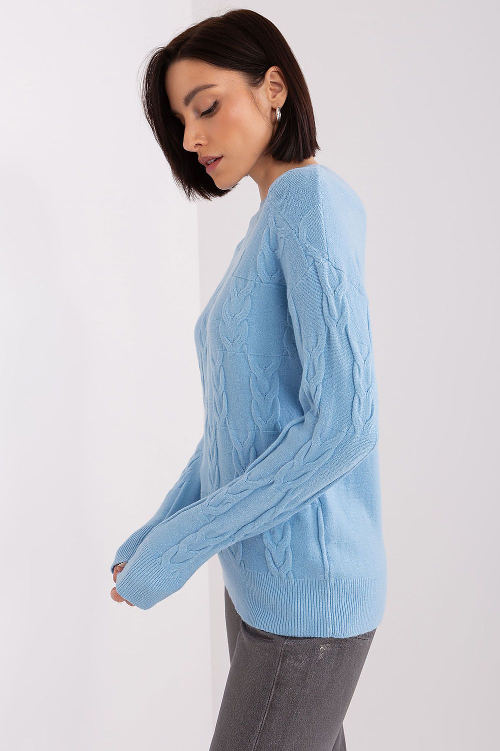 Chandail model 208301 AT